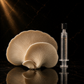 Aspen Oyster (Pleurotus populinus)